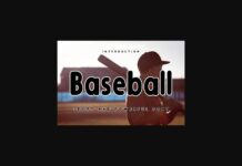 Baseball Font Poster 1