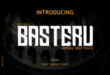 Basteru Basteru Fonts