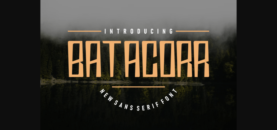 Batacorr Font Poster 3