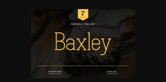 Baxley Poster 1