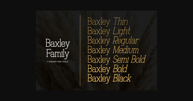 Baxley Poster 6