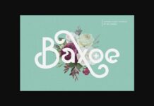 Baxoe Font Poster 1