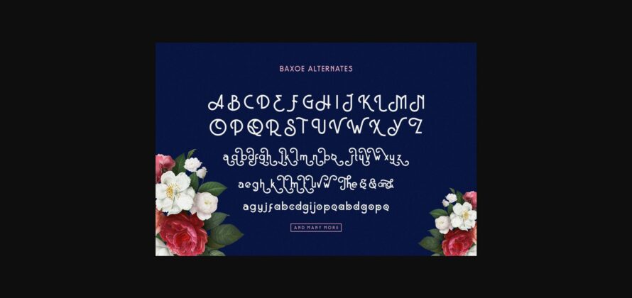 Baxoe Font Poster 8