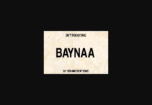 Baynaa Font Poster 1