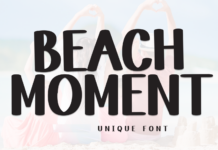 Beach Moment Font Poster 1