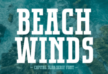 Beach Winds Poster 1