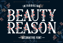 Beauty Reason Font Poster 1