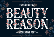 Beauty Reason Font Beauty Reason Font Poster 1