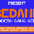 Bedane Font