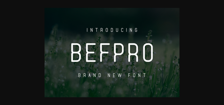 Befpro Font Poster 3