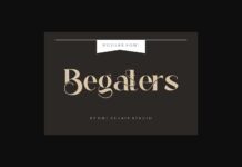 Begaters Poster 1