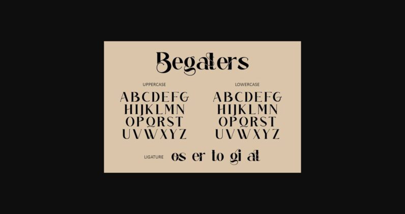 Begaters Poster 8
