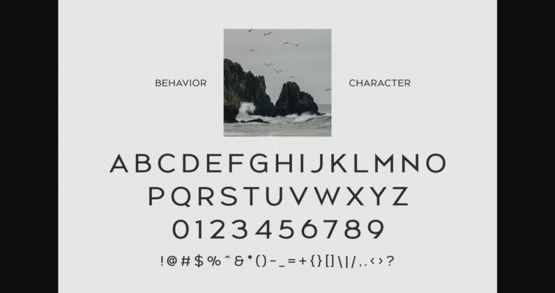 Behavior Font Poster 7