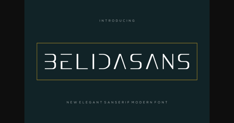 Belidasans Font Poster 3