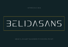 Belidasans Font Poster 1