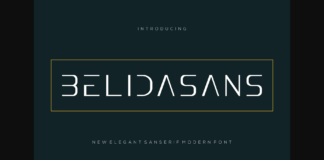 Belidasans Font Poster 1