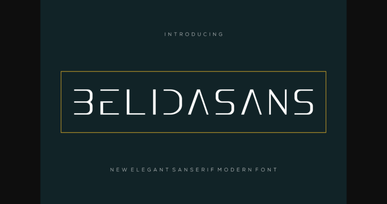 Belidasans Font Poster 1