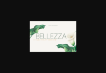 Bellezza Thin Font Poster 1