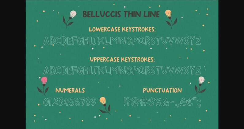 Belluccis Font Poster 9