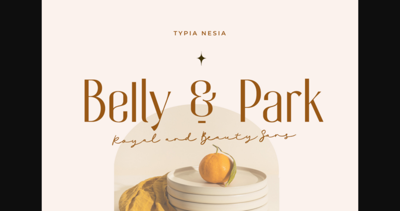 Belly and Park Font Poster 3