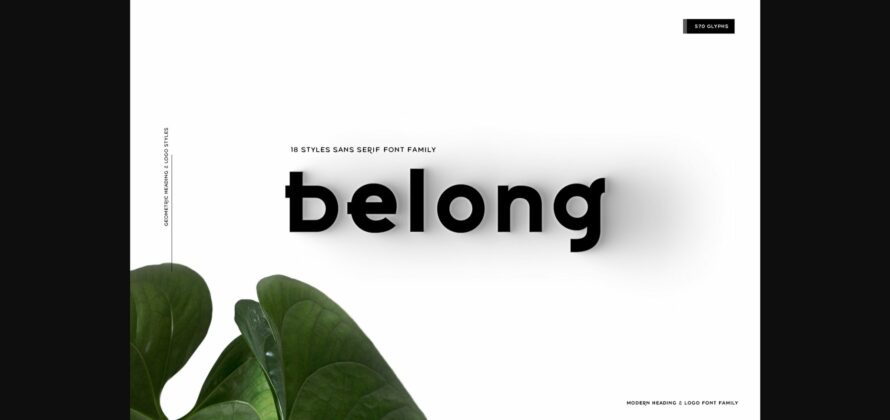 Belong Font Poster 3