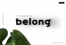 Belong Font Poster 1