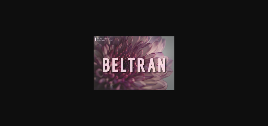 Beltran Font Poster 3