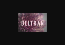 Beltran Font Beltran Font Poster 1