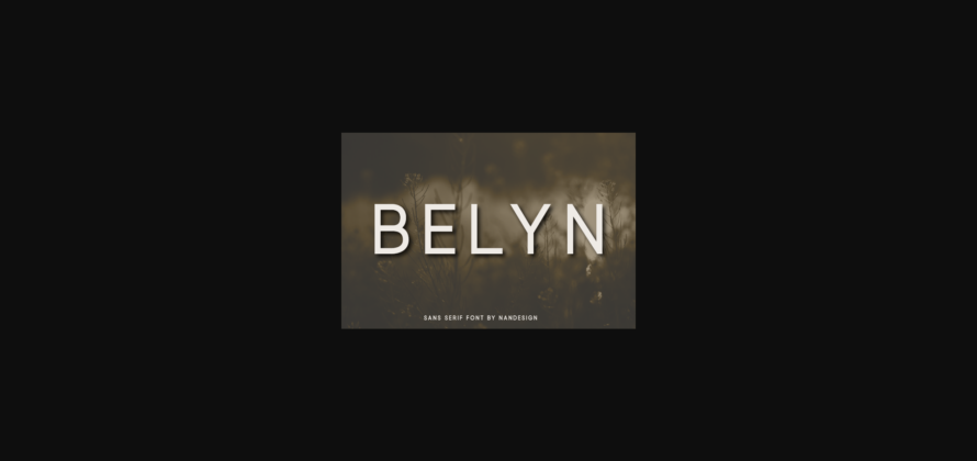 Belyn Font Poster 3