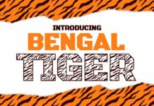 Bengal Tiger Font Poster 1