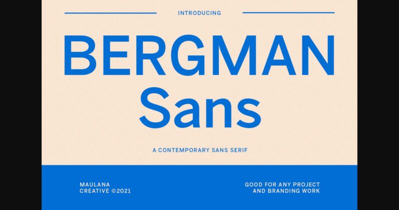 Bergman Font Poster 3