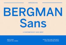 Bergman Font Poster 1