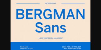 Bergman Font Poster 1