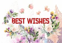 Best Wishes Font Poster 1