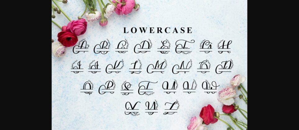 Bianca Monogram Font Poster 8