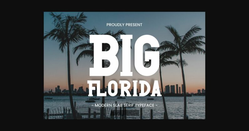 Big Florida Poster 1
