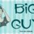 Big Guy Font