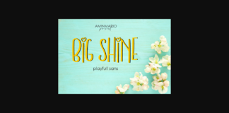 Big Shine Font Poster 1