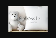 Bigboss Lf Font Poster 1