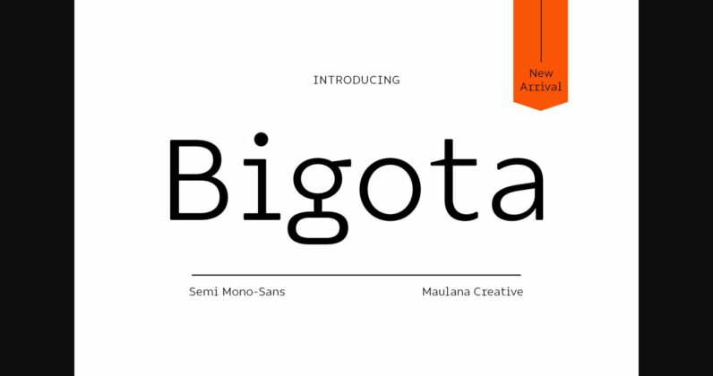Bigota Font Poster 3