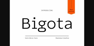 Bigota Font Poster 1