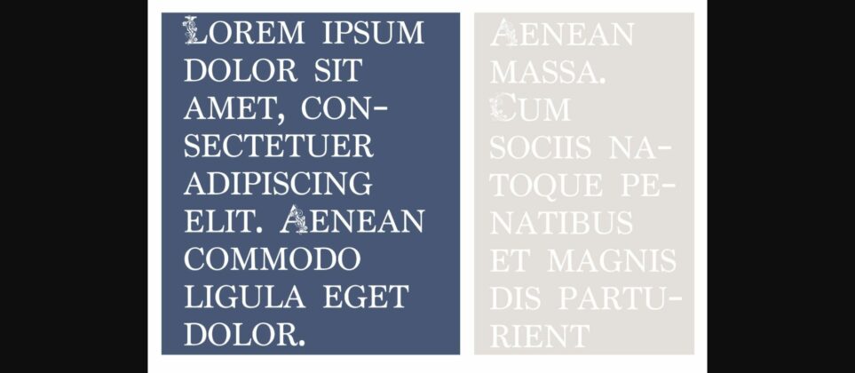 Bijoux Bloom Font Poster 6