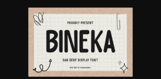 Bineka Font Poster 1