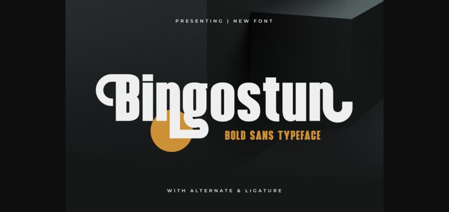 Bingostun Font Poster 3