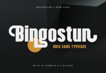 Bingostun Font Poster 1