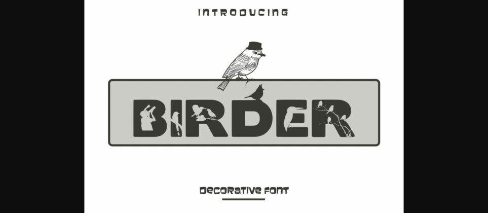 Birder Font Poster 3