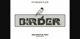 Birder Font Poster 1