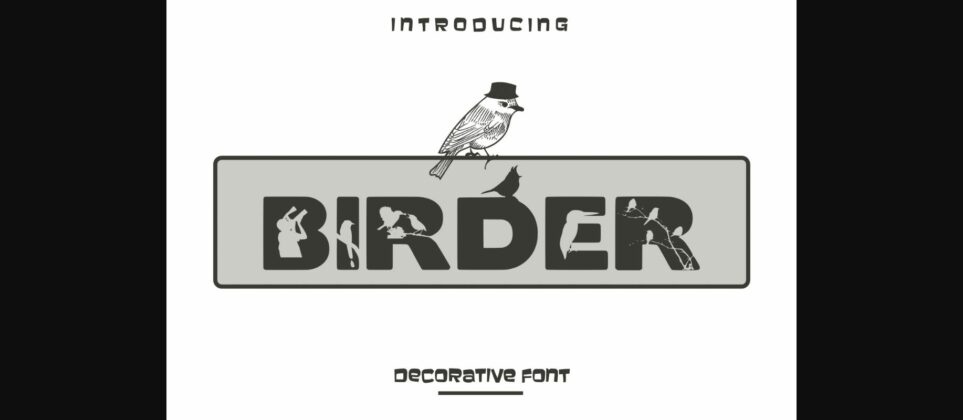 Birder Font Poster 1