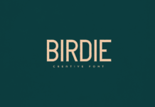 Birdie Font Poster 1