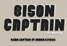 Bison Captain Font Poster 1